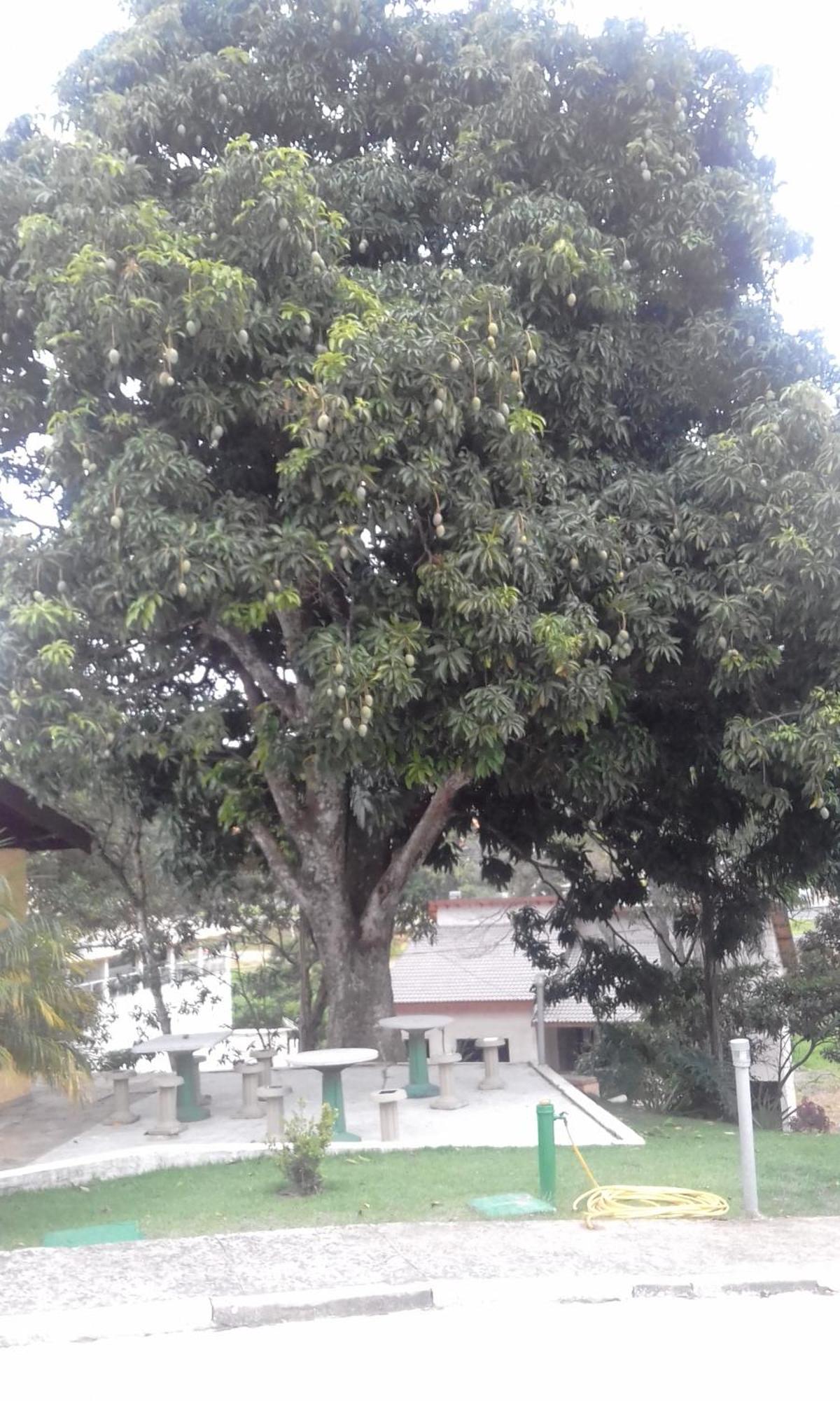 Hotel Pousada Gurupia Serra Negra  Eksteriør bilde